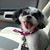 Rebecca Peeples's profile image