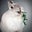 Jessica Lin's profile image
