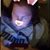 Schary Anne Dickey Karwoski's profile image