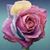 Mindy Cammack's profile image