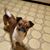 Leticia Mena's profile image