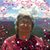 Ellen Feik's profile image