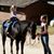Kristina Cooper-winsor's profile image