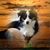 Melissa Smith's profile image