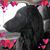 Cyndy Meahl Nichols's profile image
