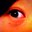 Tara Suan's profile image