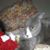 Lynn Johnson's profile image