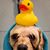 Cindy Katzenbach's profile image