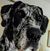 Lori Rightmer Dye's profile image