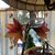 Jane Krause Cardi's profile image