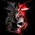 Hattori Jin's profile image