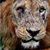 Charles Dixon's profile image