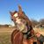 Nancy Chandler Eppers's profile image