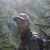 Bob Newland's profile image