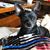 Tracy Marvin's profile image
