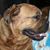 Jay Berkeley's profile image
