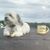 Bobbie Gravelle's profile image