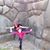 Rosa Margot Palomino Fernandez's profile image