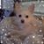 Tammy Tunks's profile image