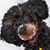 Kathy Salkeld's profile image