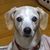 Linda Victel's profile image