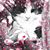 Nancy Booth's profile image
