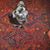 Lynda Wilkinson's profile image