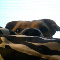 Jeannie Lynn Malone's profile image