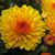 Cathy Zver's profile image