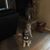 Laurie Berra Lohbeck's profile image