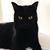 Marianne Clemett's profile image