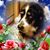 Jennifer Vickery-Gaik's profile image