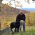 Mark Hartig's profile image