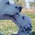 Kim Dargel's profile image