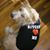 Robin Delaney's profile image
