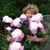 Irina Ilin's profile image
