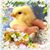 Beth Moyer's profile image