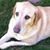 Denise O'Connor's profile image