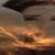 الواني كثيرة's profile image