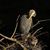 Marsha Kerchner's profile image