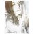 Lauryn Hosemann's profile image