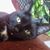 Erin Carolan's profile image