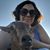 Kirsten Kessler Shelley's profile image