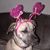 Erynn Bailey's profile image