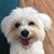 Suzanne Dennis Borland's profile image