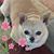 Pam Johnson's profile image