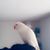 Marwa Jan's profile image