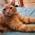 Darlene Keats's profile image