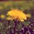 Carson Price's profile image