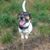 Moxey Goodwin's profile image